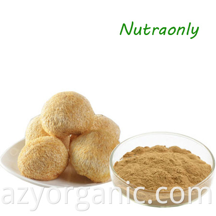 GMP Factory Supply Wholesale Organic Lion's Mane Mushroom Extract Extrait de Hericium Erinaceus